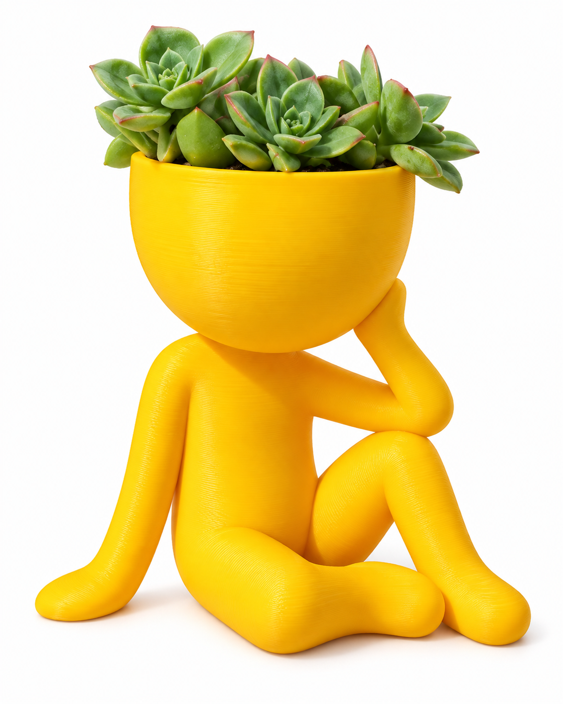 Thinker Planter - Unique Desk & Home Decor